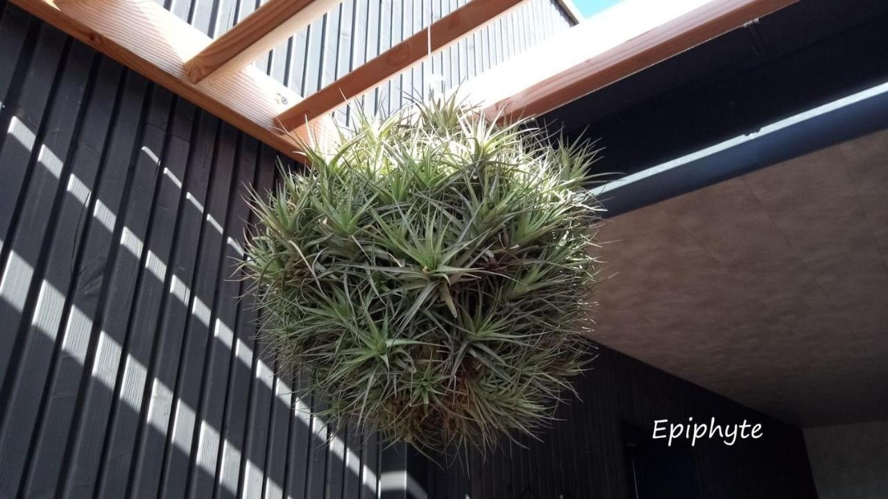 Epiphytes Et Succulentes Apartamento Paimpol Exterior foto